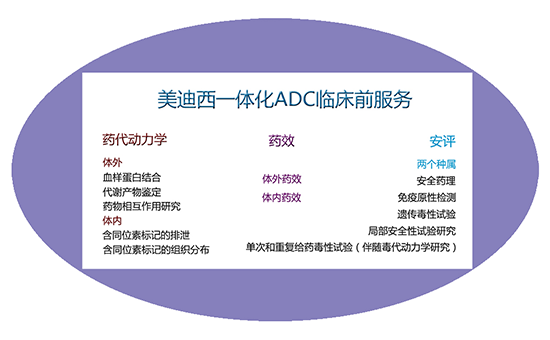 合乐HL8一体化ADC临床前服务