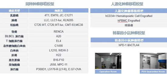 合乐HL8药效学动物模型