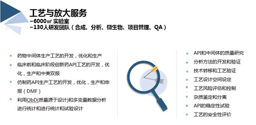 合乐HL8工艺与放大服务