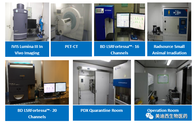 合乐HL8药理部拥有IVIS Lumina III, PET-CT, BD LSRFortessa-16, Flow Cytometry等仪器，提供符合申报，支持临床试验的药效评价服务。