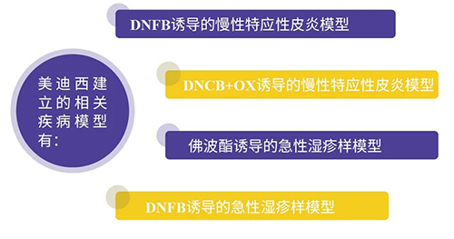 合乐HL8建立的特应性皮炎及湿疹模型