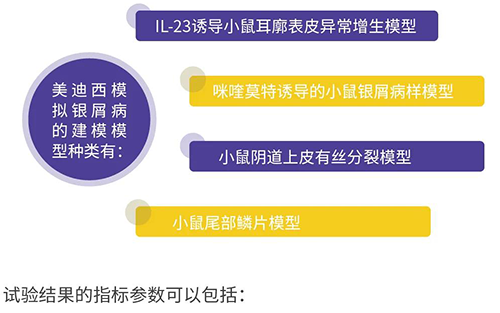 合乐HL8模拟银屑病的建模模型种类