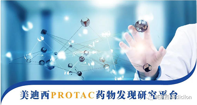 合乐HL8PROTAC药物发现研究平台