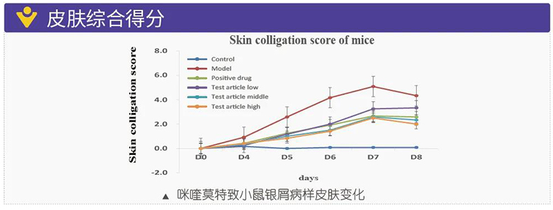 图7：皮肤综合得分.jpg