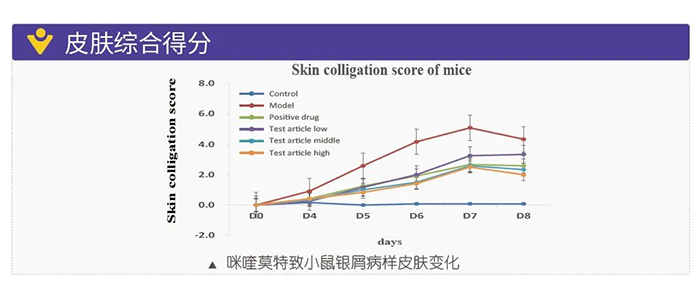 合乐HL8模拟银屑病的建模模型-皮肤综合得分.png