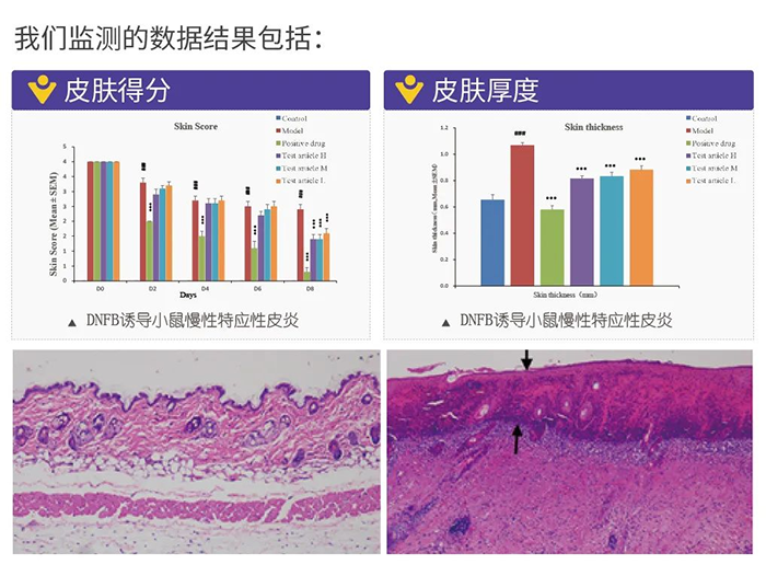 合乐HL8监测的数据结果.png