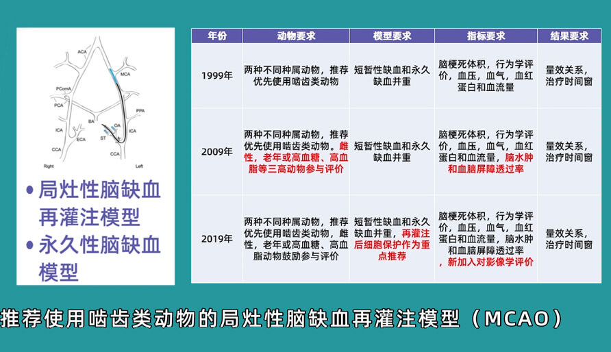 袁云云博士：啮齿类动物脑卒中疾病药效成药性评价系统（2）.jpg