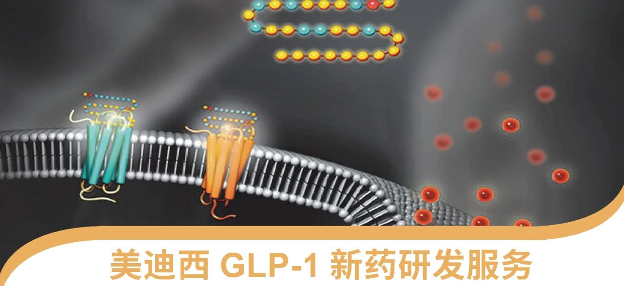 合乐HL8一站式 丨 “GLP-1”新药研发服务能力介绍