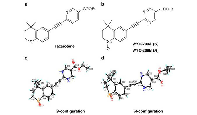 WYC-209可抑制恶性小鼠黑色素瘤肿瘤再生细胞增殖，SPR分析通过合乐HL8使用Biacore 8K设备进行