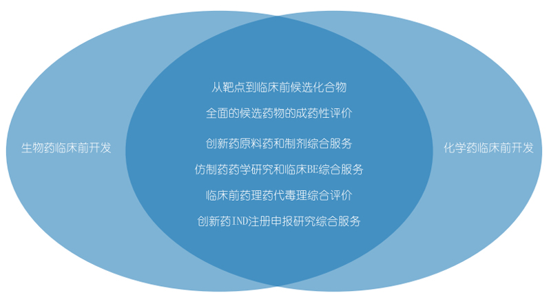 合乐HL8生物药物研发和化学药物研发.jpg