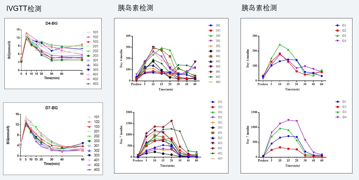 案例4：食蟹猴IVGTT和胰岛素检测实验.jpg